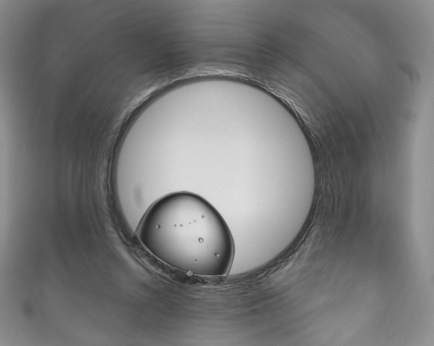X0000111160352200906301102