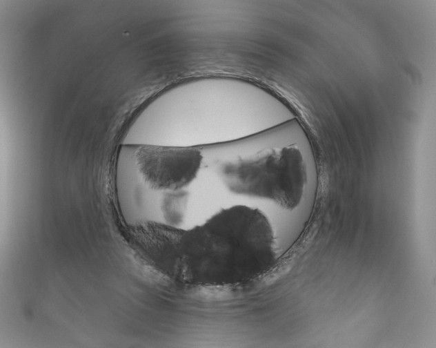 X0000111160353200906301103