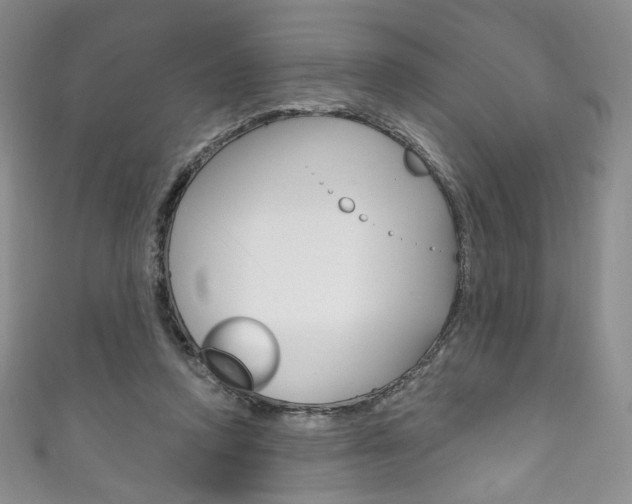 X0000111160354200906301103