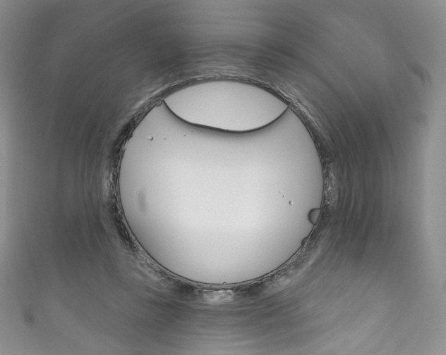 X0000111160355200906301103