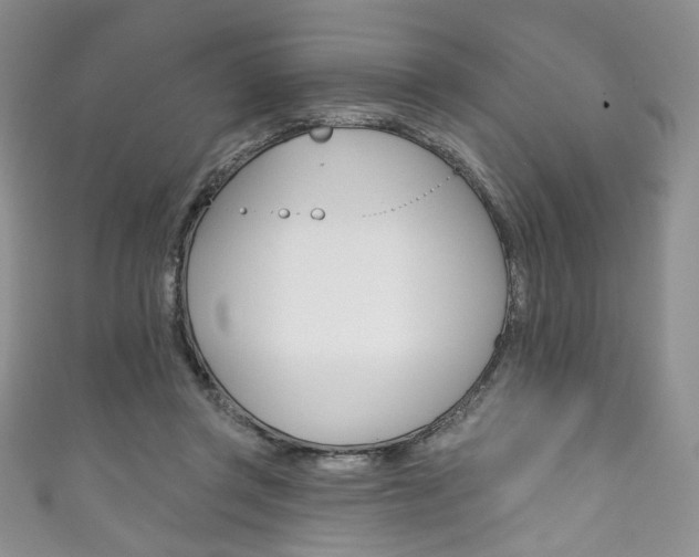 X0000111160357200906301103