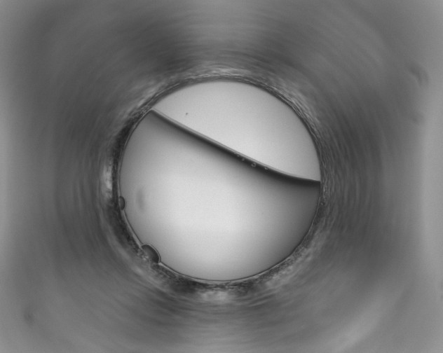 X0000111160358200906301103