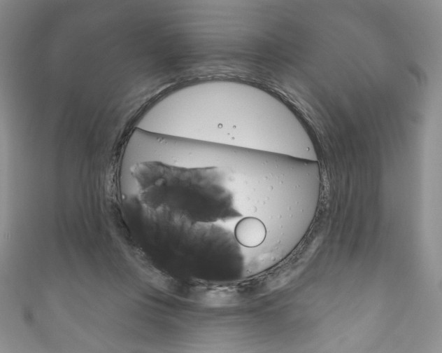 X0000111160359200906301103