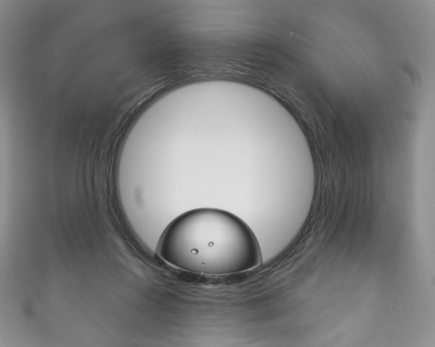 X0000111160360200906301103