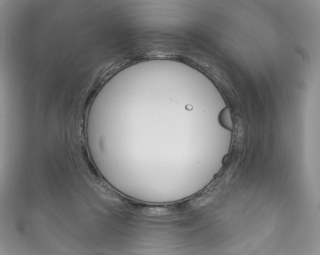 X0000111160361200906301103