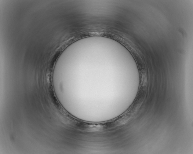 X0000111160363200906301103