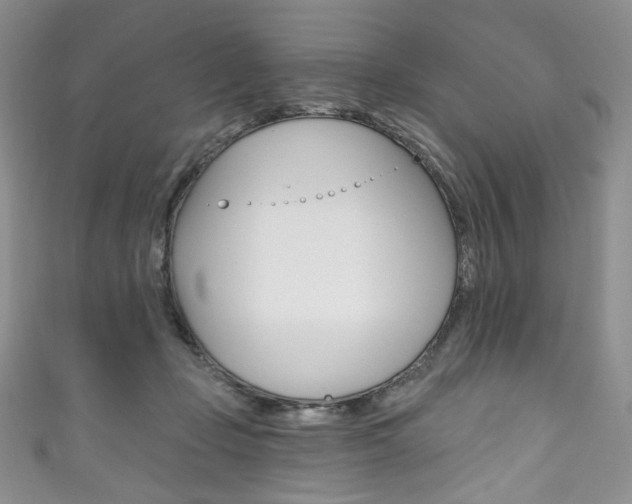 X0000111160365200906301103