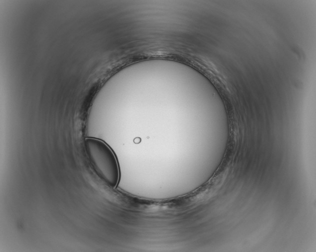 X0000111160366200906301103