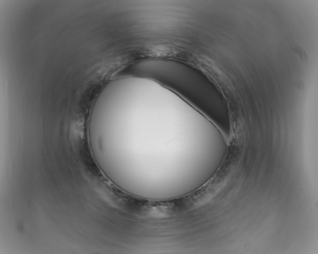 X0000111160368200906301103