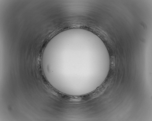 X0000111160369200906301103