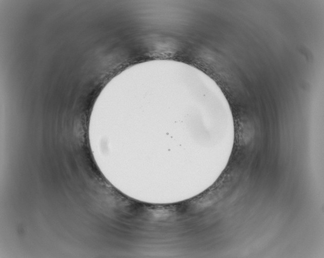 X0000111160370200906301103