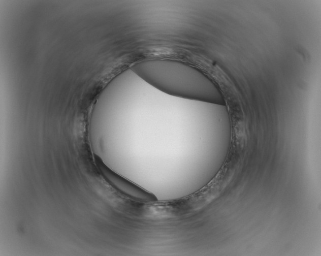 X0000111160372200906301103