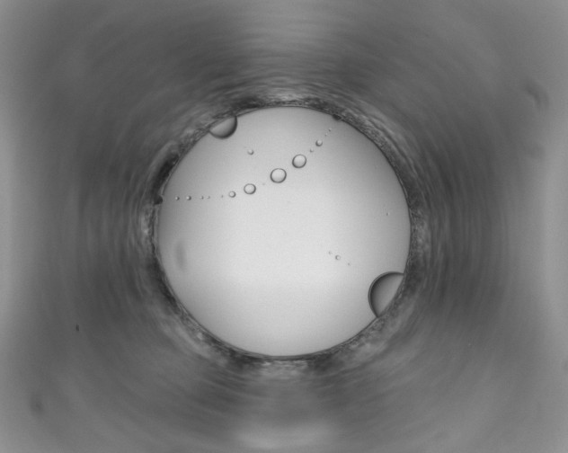 X0000111160373200906301103