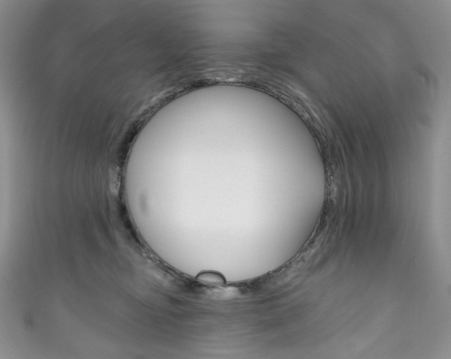 X0000111160374200906301103