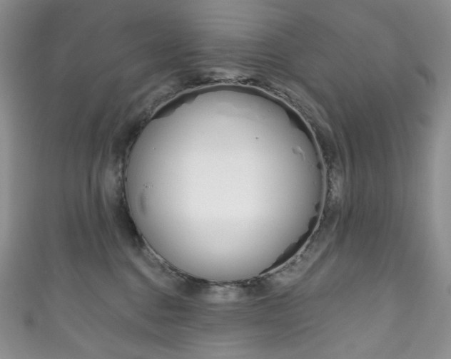 X0000111160376200906301103