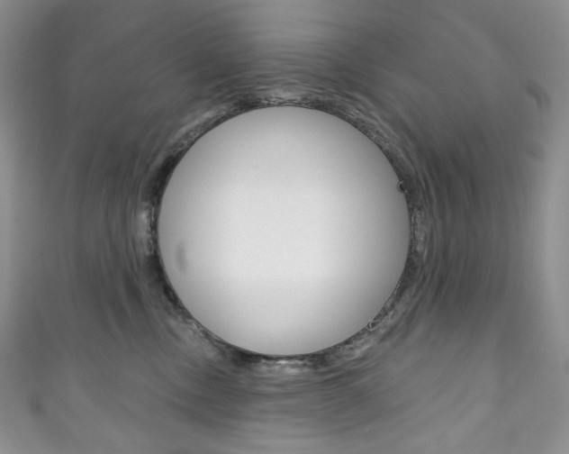X0000111160378200906301103