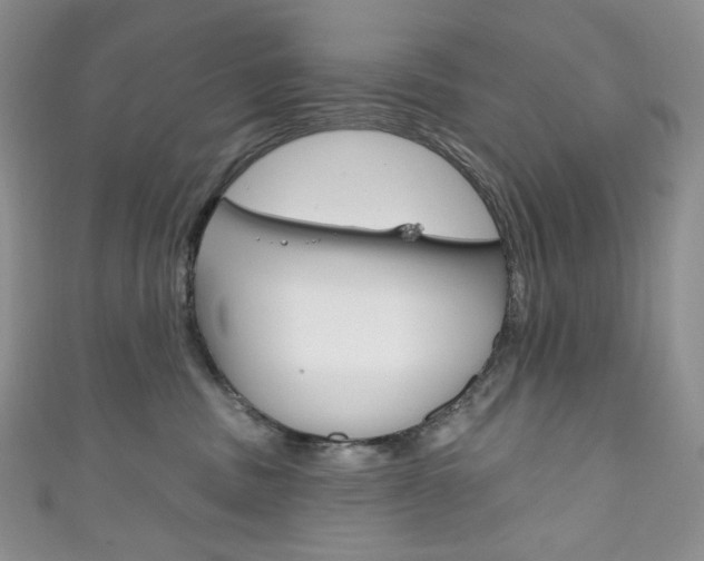 X0000111160379200906301103