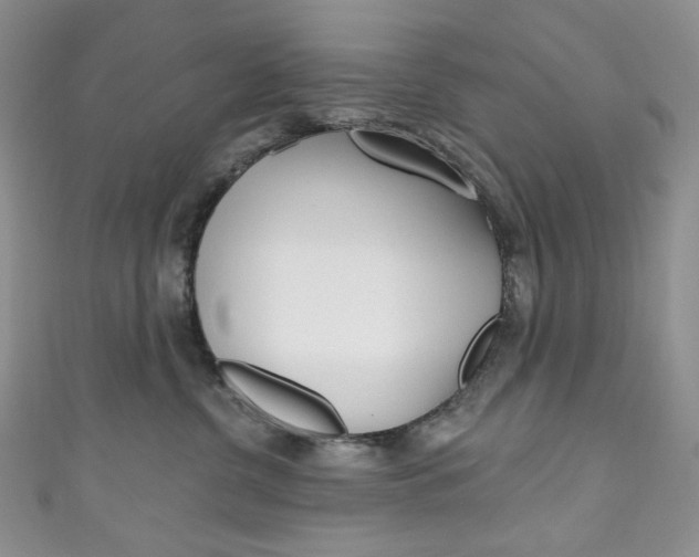 X0000111160380200906301103