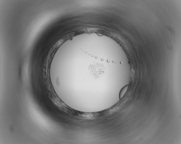 X0000111160381200906301103