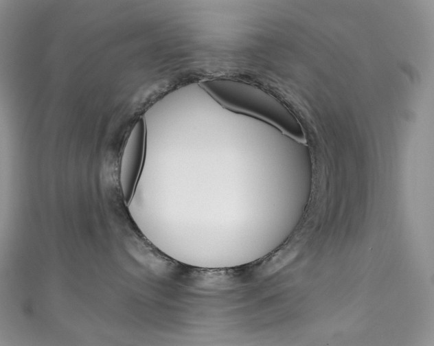X0000111160384200906301103