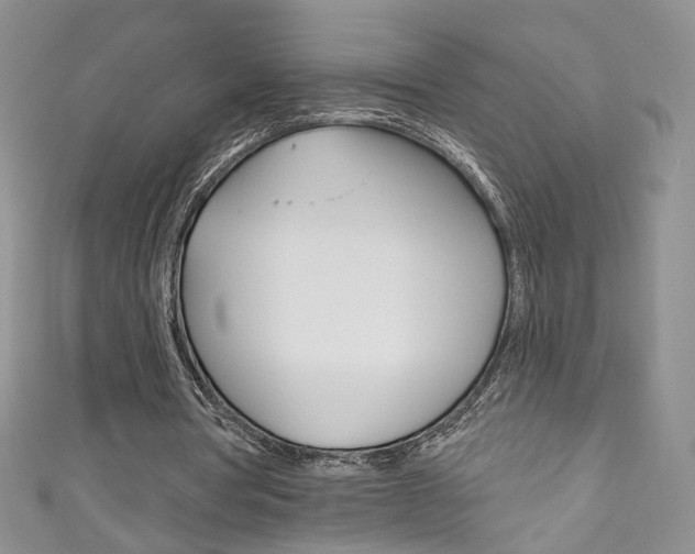 X0000111160386200906301102