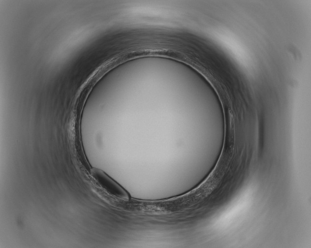 X0000111160387200906301102