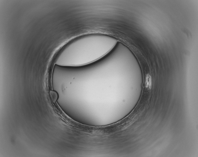 X0000111160388200906301102