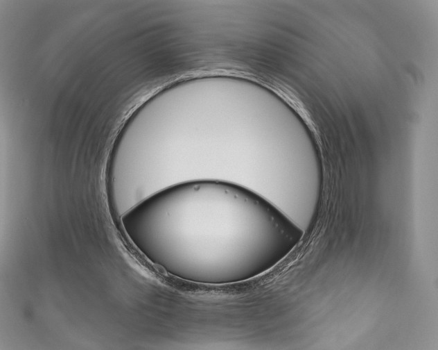 X0000111160389200906301102