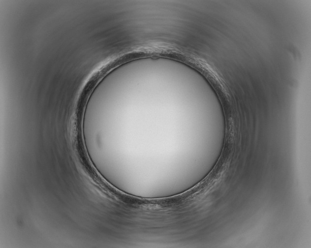 X0000111160392200906301102