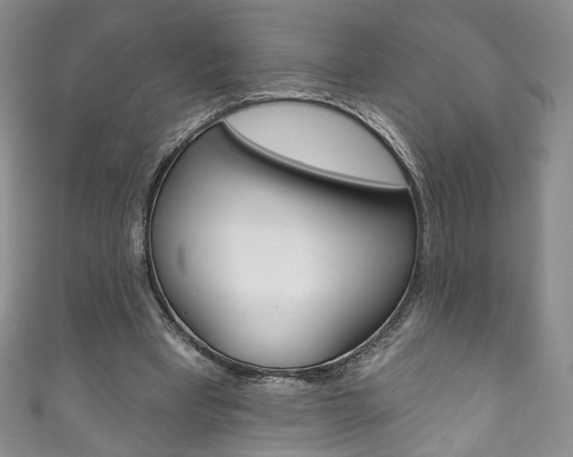 X0000111160393200906301102