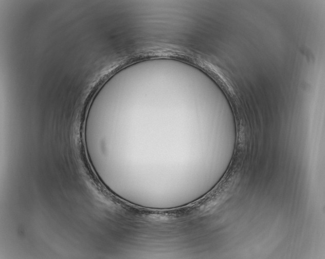 X0000111160394200906301102