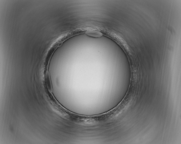 X0000111160395200906301102