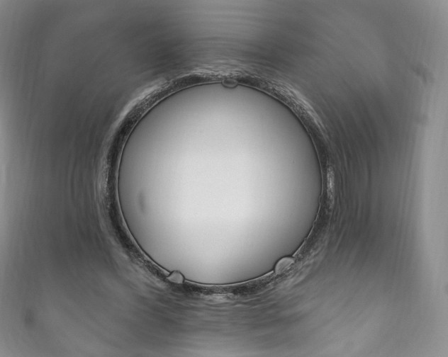 X0000111160396200906301102