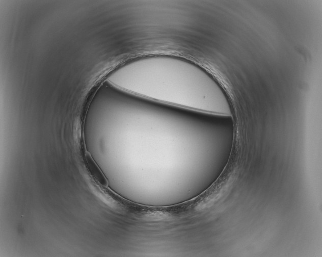 X0000111160397200906301102
