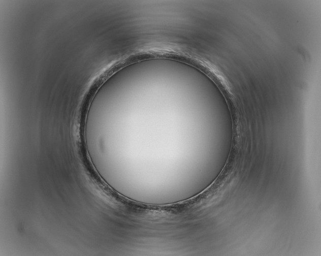 X0000111160399200906301102
