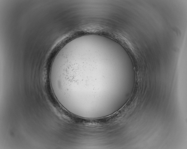 X0000111160400200906301102
