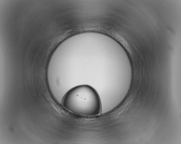 X0000111160401200906301102