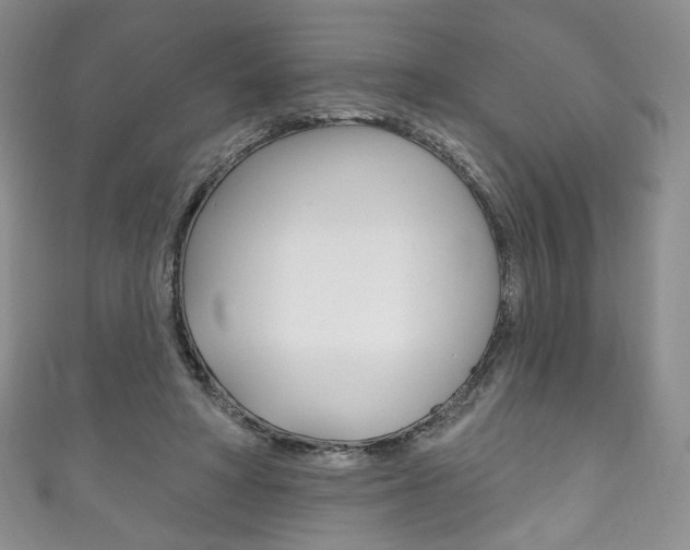 X0000111160402200906301102