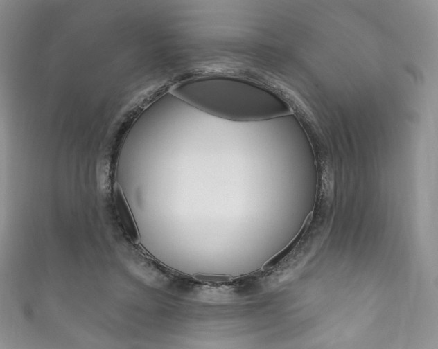 X0000111160403200906301102