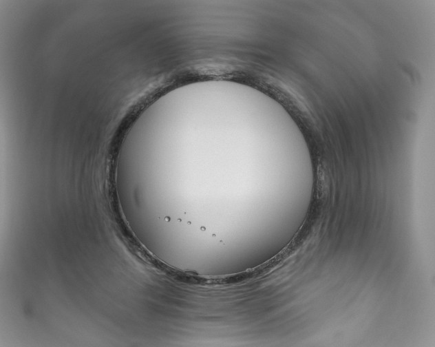 X0000111160404200906301102
