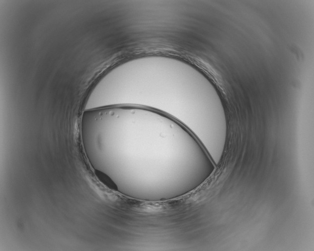 X0000111160405200906301102