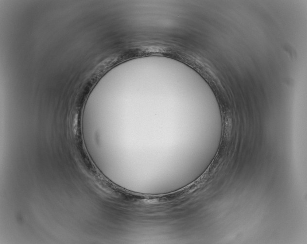 X0000111160406200906301102