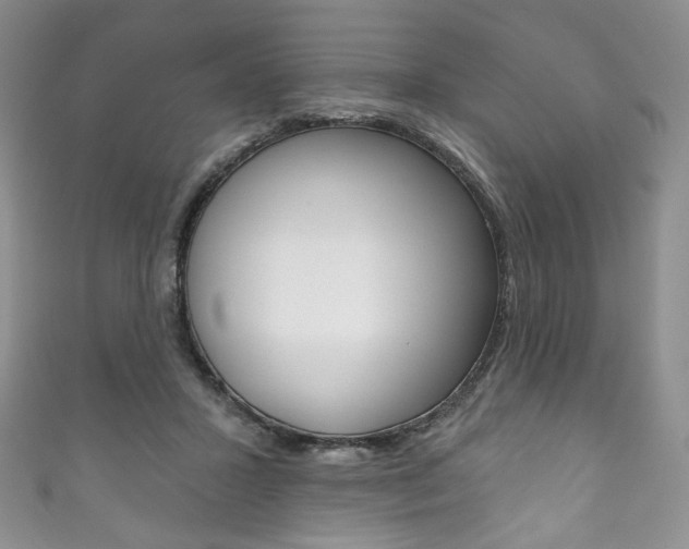 X0000111160407200906301102
