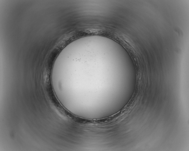 X0000111160408200906301102