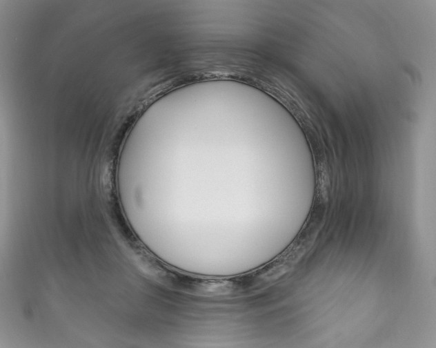 X0000111160410200906301102