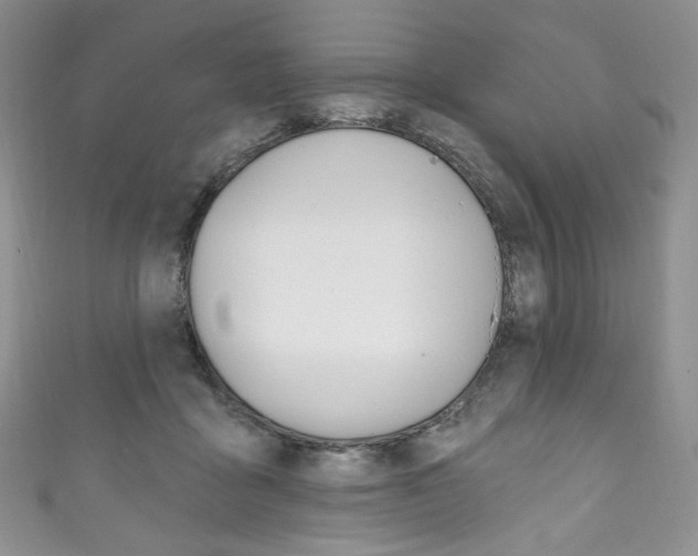 X0000111160411200906301102