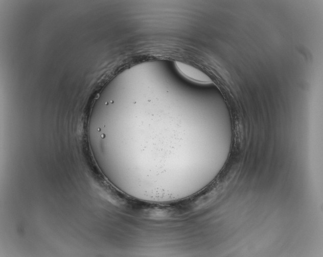 X0000111160412200906301102
