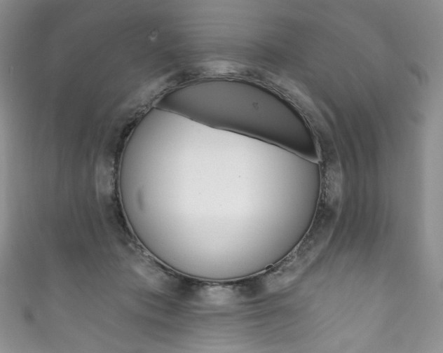X0000111160413200906301102