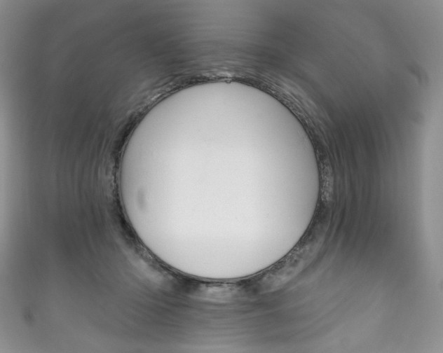 X0000111160414200906301102