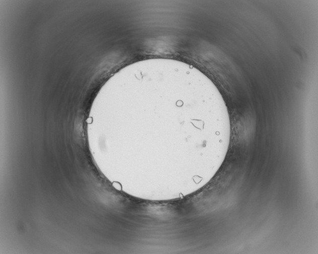 X0000111160415200906301102